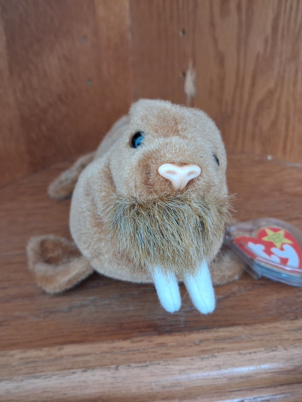TY Beanie Baby Paul the Walrus | Vintage Plush | Good Condition